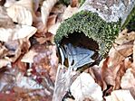 IMG_20260321_092036