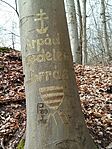 IMG_20260321_092110