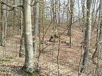 IMG_20260321_092325