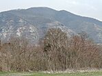 IMG_20260321_102047