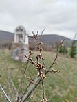 IMG_20260321_161536