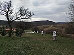 IMG_20260321_161755