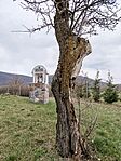 IMG_20260321_161527