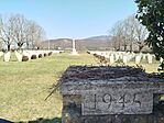 IMG_20260322_104324