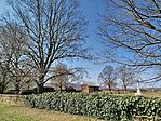 IMG_20260322_104930