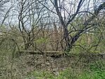 IMG_20260328_104833