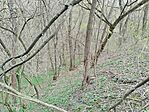 IMG_20260328_104802