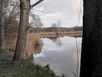 IMG_20260323_171731