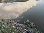 IMG_20260323_171711