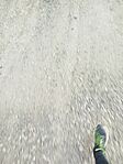 IMG_20260323_171843