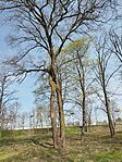 IMG_20260328_095513