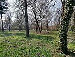 IMG_20260328_095419
