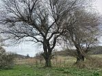 IMG_20260328_114554