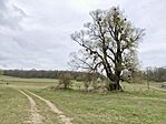 IMG_20260328_114308