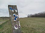 IMG_20260328_115059