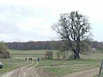 IMG_20260328_114225