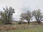 IMG_20260328_114817