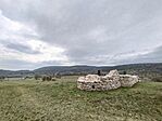 IMG_20260328_115427