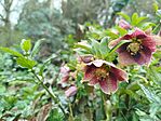 IMG_20260328_131807