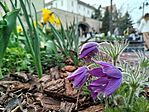 IMG_20260328_131445
