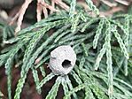 IMG_20260329_134609