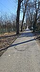 20260308_083131
