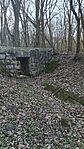 20260311_085300