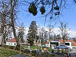 IMG_20260321_105321