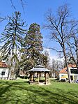 IMG_20260321_104522
