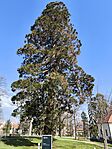 IMG_20260321_104427