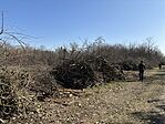 IMG_2555