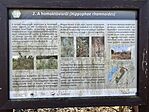 IMG_2559