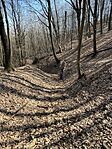 IMG_2565