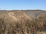 IMG_2574