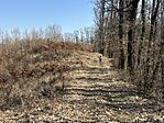 IMG_2575