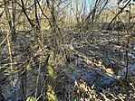IMG_2579