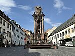 IMG_2895