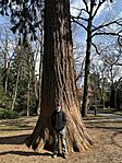 IMG_2911