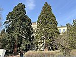 IMG_2918