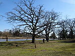 DSC00843