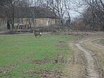 DSC00762