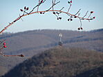 DSC00803