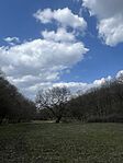 IMG_5670