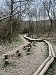 IMG_5681