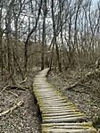 IMG_5683