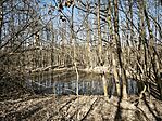 IMG_20260307_100624