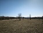 IMG_20260307_104603