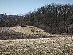 IMG_20260307_110855