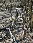IMG_20260307_112602