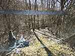 IMG_20260307_113147